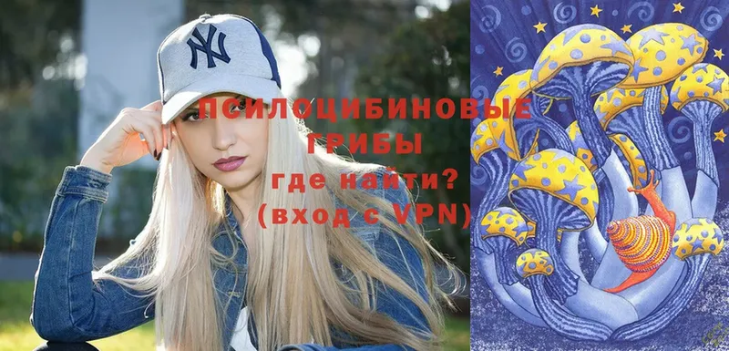 что такое   Черногорск  Галлюциногенные грибы Psilocybine cubensis 