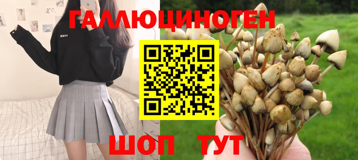 Галлюциногенные грибы GOLDEN TEACHER  Вход с VPN  Черногорск  Галлюциногенные грибы GOLDEN TEACHER 